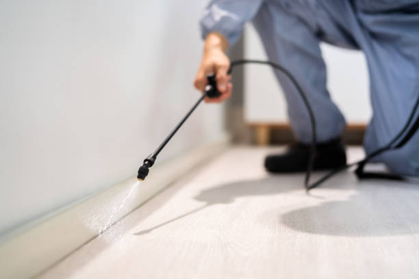 Bed Bug Pre-Treatment Preparation Assessment in Midway